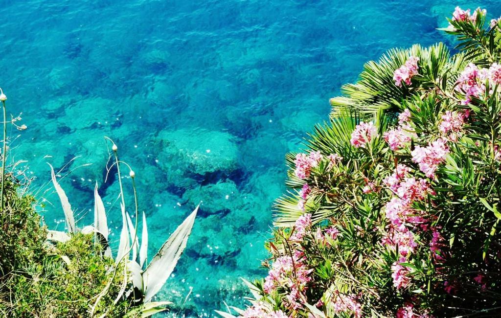 Nice Apartment & Room In Cavtat Exterior foto