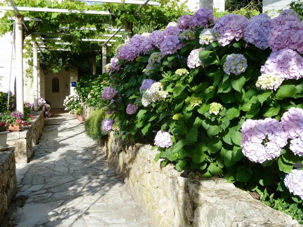 Nice Apartment & Room In Cavtat Exterior foto